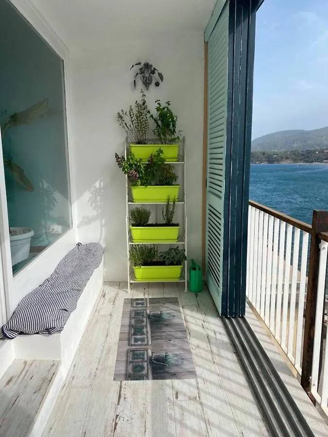 Residenza Il Moletto Daire Porto Azzurro